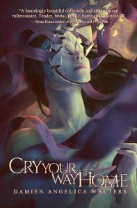 Cover art for Cry Your Way Home