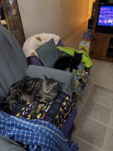 A tabby cat in a larger chair and a black cat on a smaller chair, laying in similar positions, atop brightly colored blankets